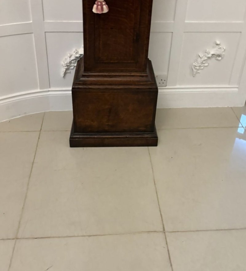 Outstanding Quality Antique George III Oak and Burr Oak Brass Face Longcase Clock - Image 14